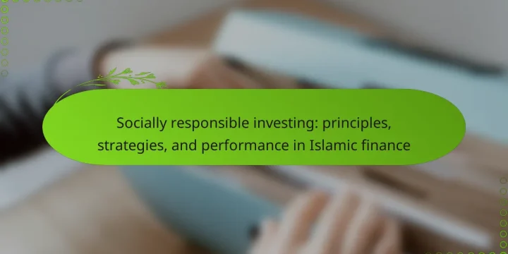 Socially responsible investing: principles, strategies, and performance in Islamic finance
