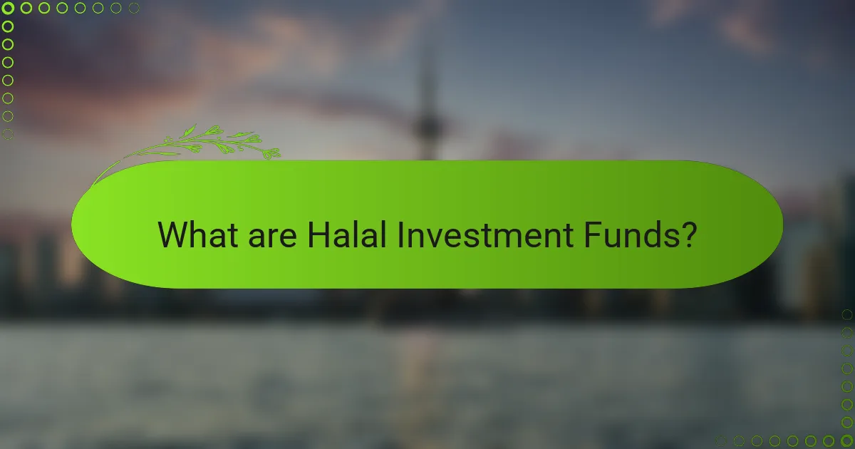 What are Halal Investment Funds?