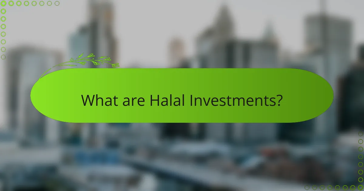 What are Halal Investments?