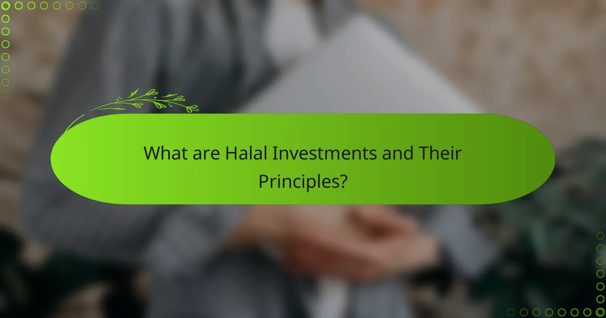 What are Halal Investments and Their Principles?