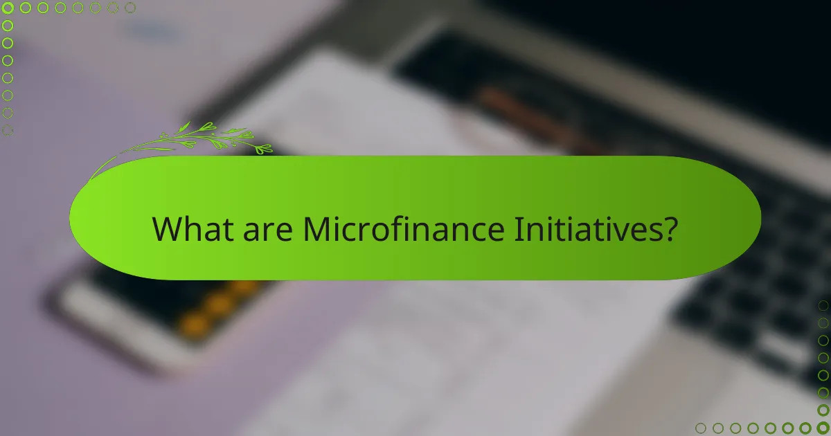 What are Microfinance Initiatives?