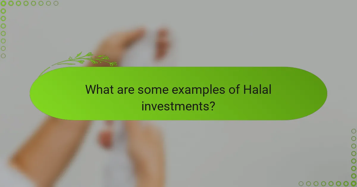What are some examples of Halal investments?