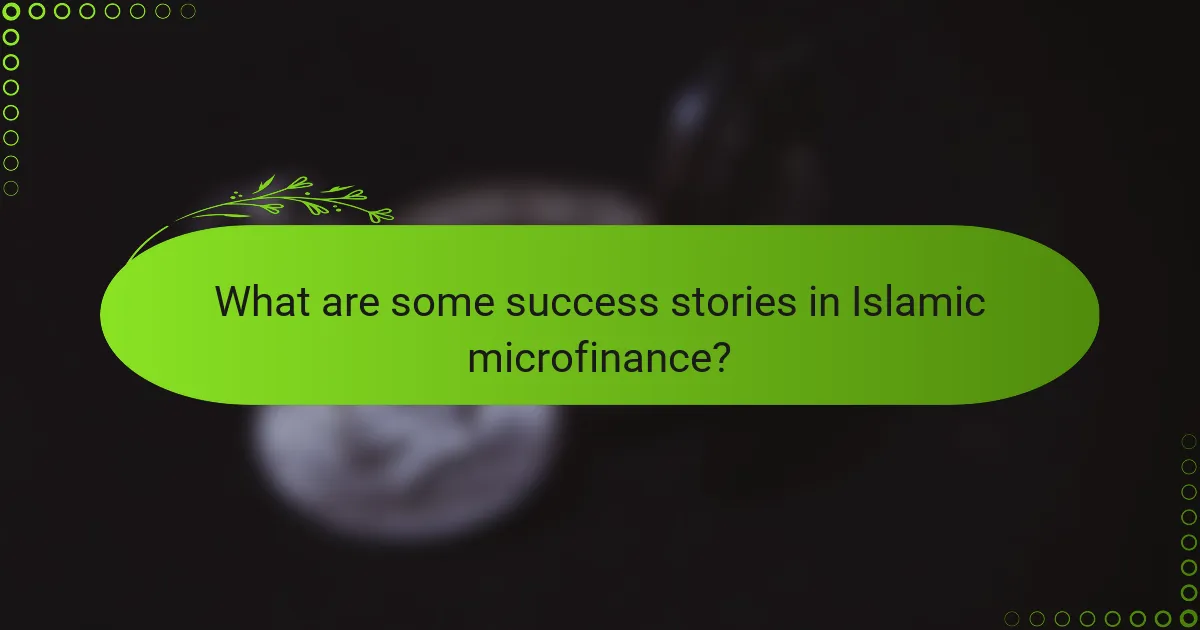 What are some success stories in Islamic microfinance?