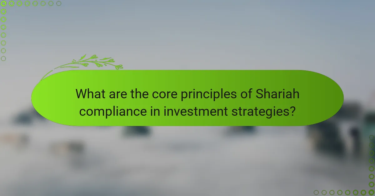 What are the core principles of Shariah compliance in investment strategies?