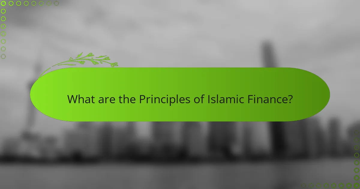 What are the Principles of Islamic Finance?