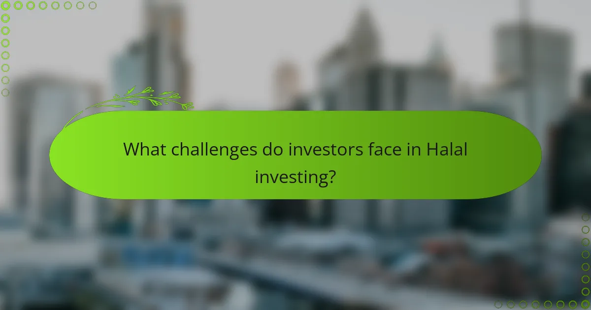 What challenges do investors face in Halal investing?