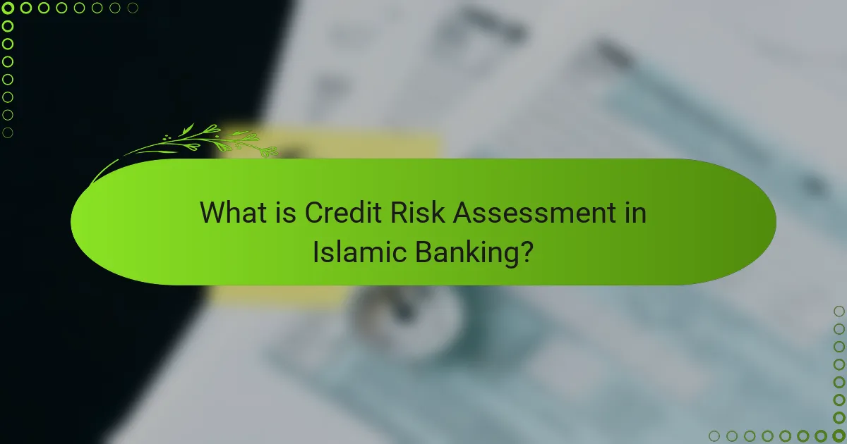 What is Credit Risk Assessment in Islamic Banking?