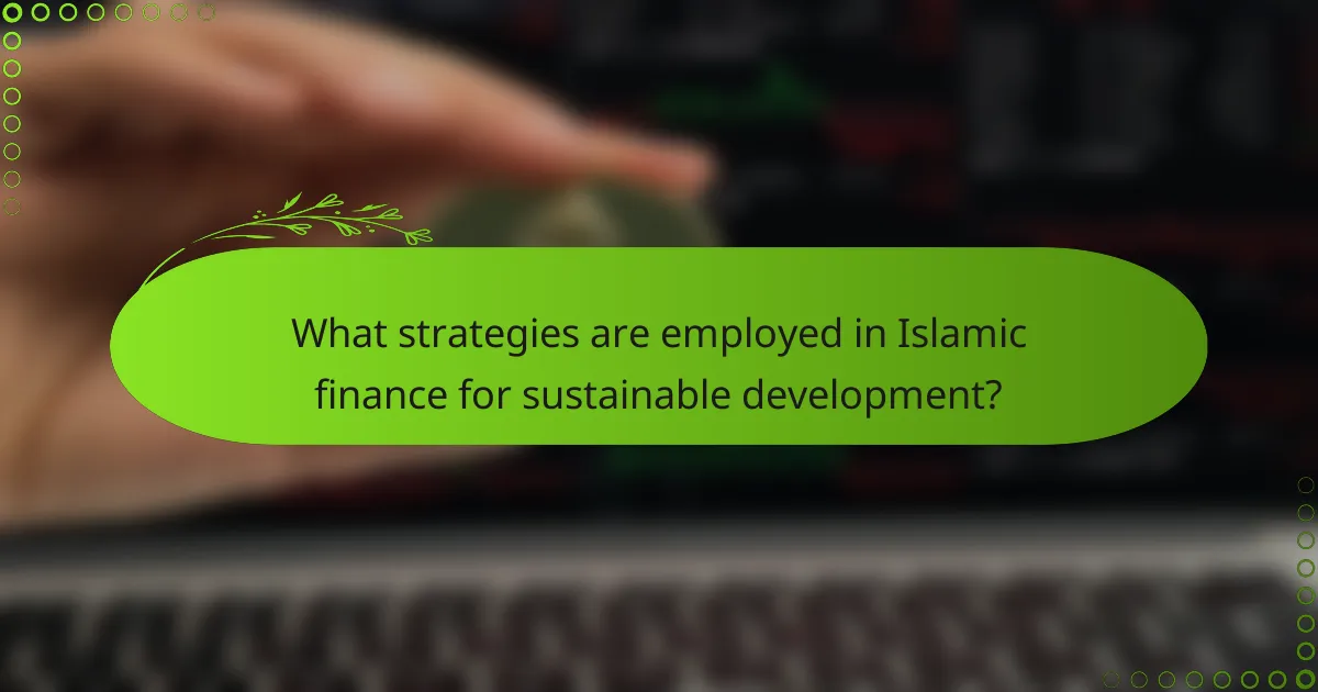 What strategies are employed in Islamic finance for sustainable development?